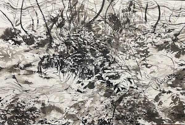 Old forest, new growth. by Hema A. Bharadwaj, Image 1.