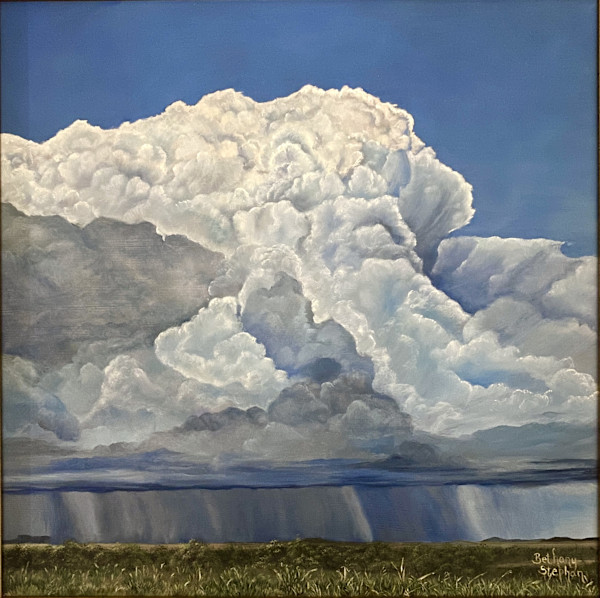 Arizona Monsoon by Bethany Stephan