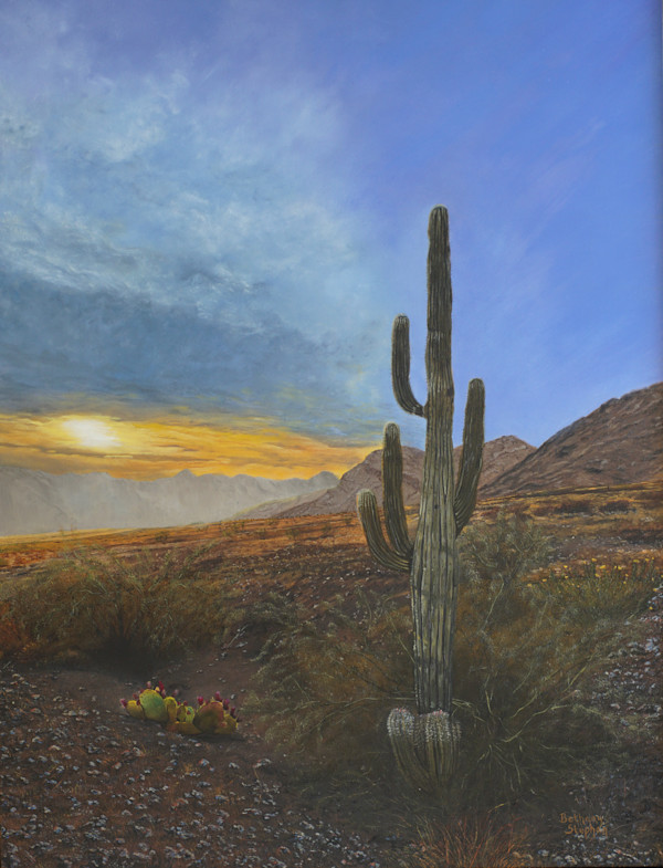 Saguaro Looking West by Bethany Stephan