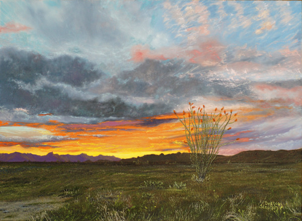 Ocotillo' Serenade at Sunset by Bethany Stephan