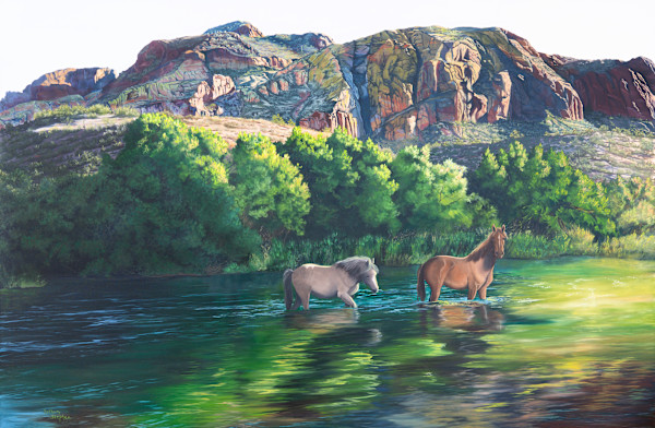 Salt River Horses by Bethany Stephan