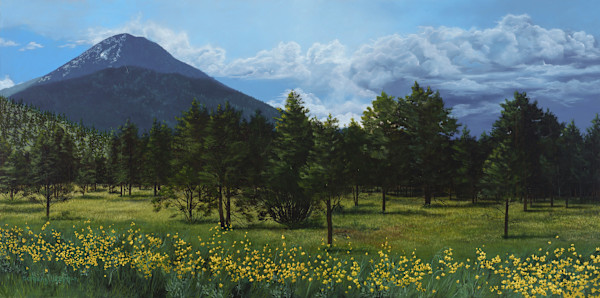 Hart Prairie by Bethany Stephan, Image 1.