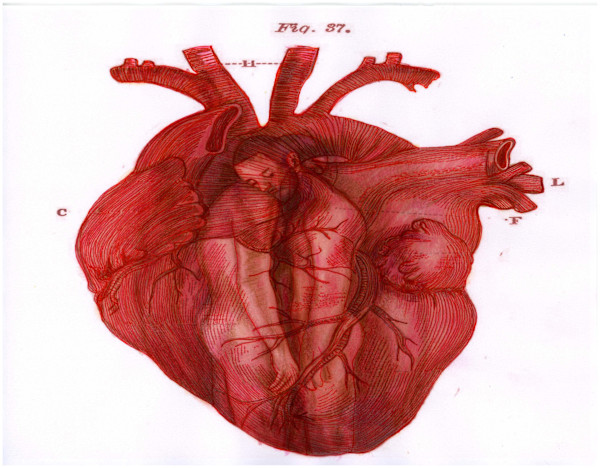 Heart Merge Excerpt 21 (From "The Anatomical Intimacy of the Heart" series) mixed media, $250.  Buyer pays shipping.  Prints available, contact artist. by Stephen Mead
