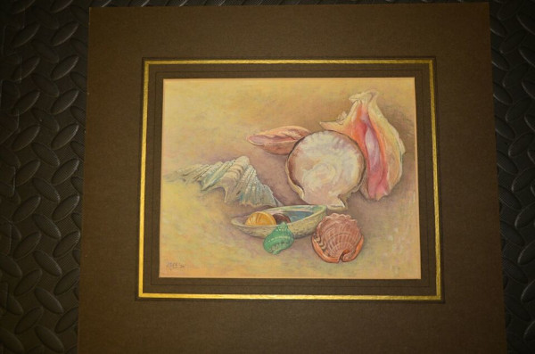Still life with shells by Antony Baynes