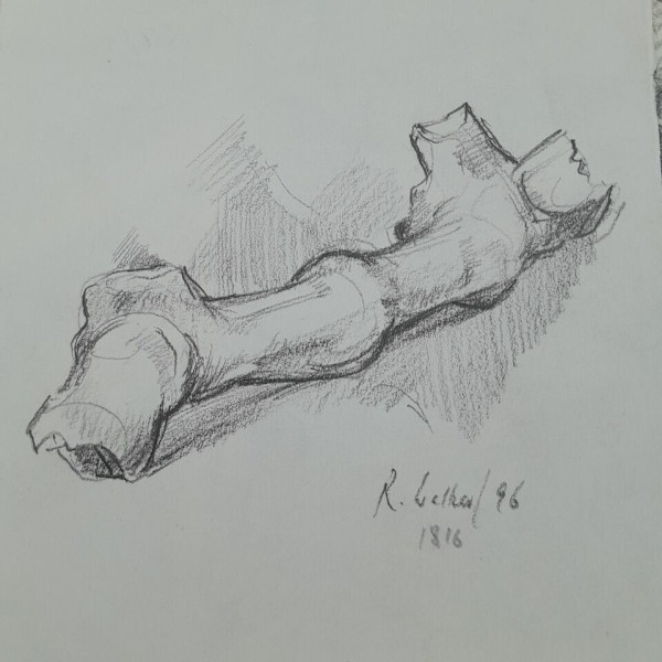 Signed Studio collection of drawings by Richard Ian Bentham Walker