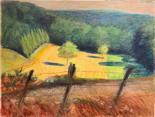 1988 "Field" Landscape Drawing Acclaimed Illustrator Bill Shields by Bill Shields