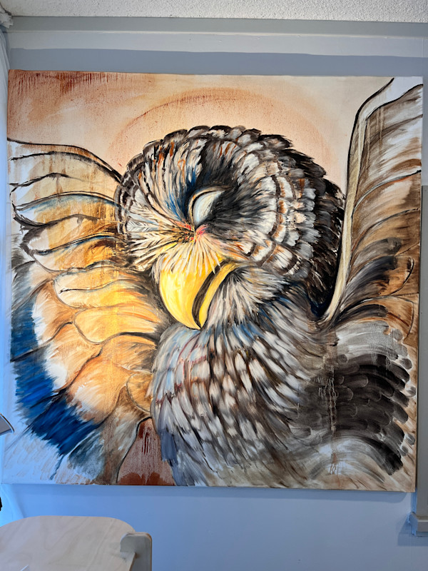 Crufixion; Young Barred Owl by Linda Keane