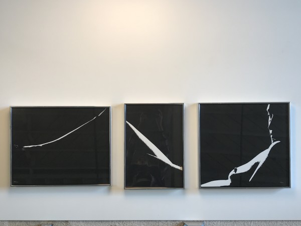 Nude Triptych by D Kohn