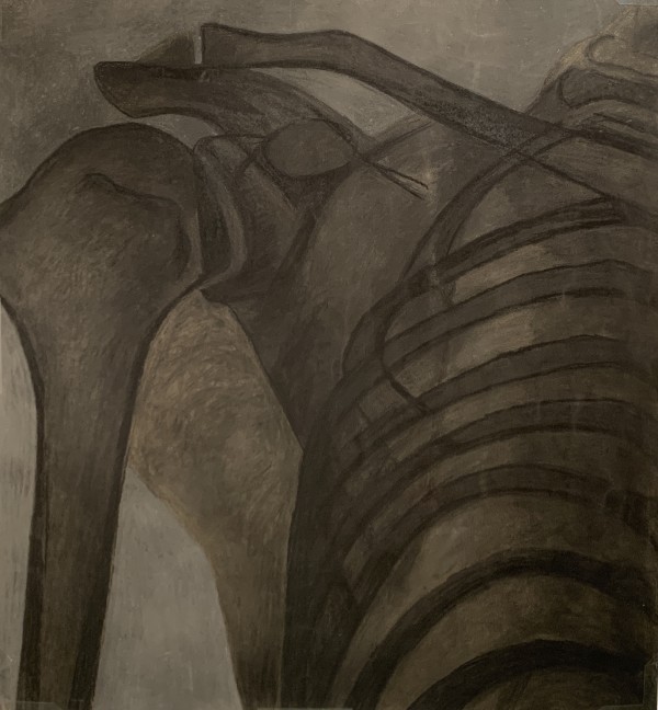 "Clavicle and Ribs" by Edith  Isaac-Rose
