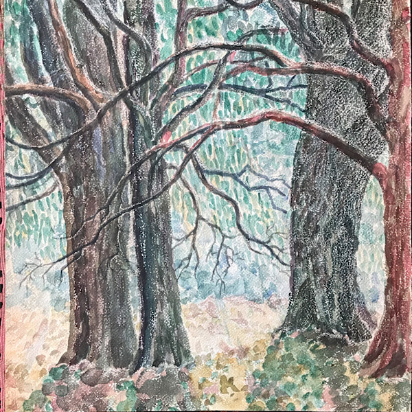 Old Trees by Frank J Bette