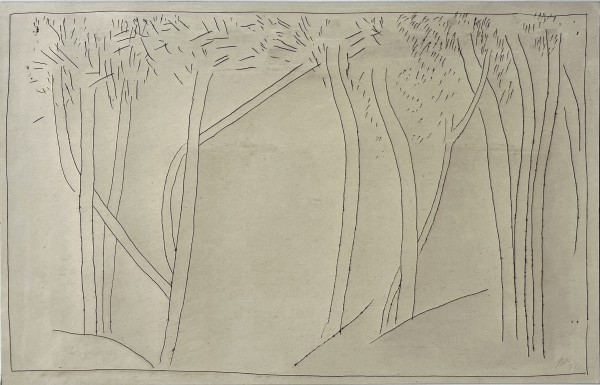 Abstract "Tree Landscape" Ink Line Drawing 1981 American Modernist Jack Hooper by Jack Hooper
