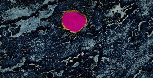 1960s Blue & Pink  Collage Intaglio Etching NY Artist Myril Adler by Myril Adler