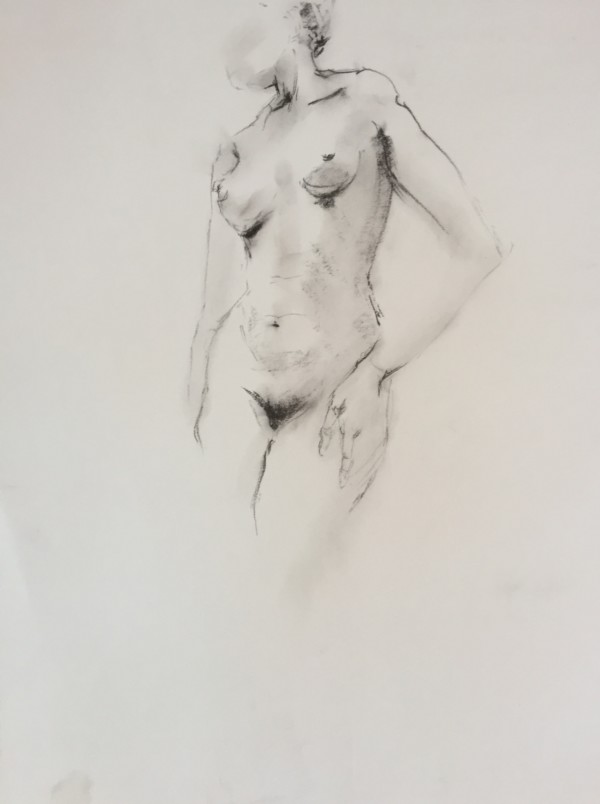 Female Nude Charcoal Drawing 22 by Unsigned