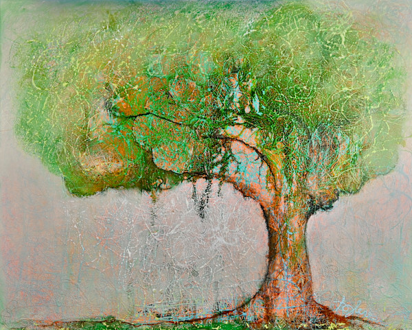 Baum by tomo.  (toplev monika)