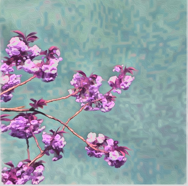 Cherry Bloosom Breeze by Mica Hoberg