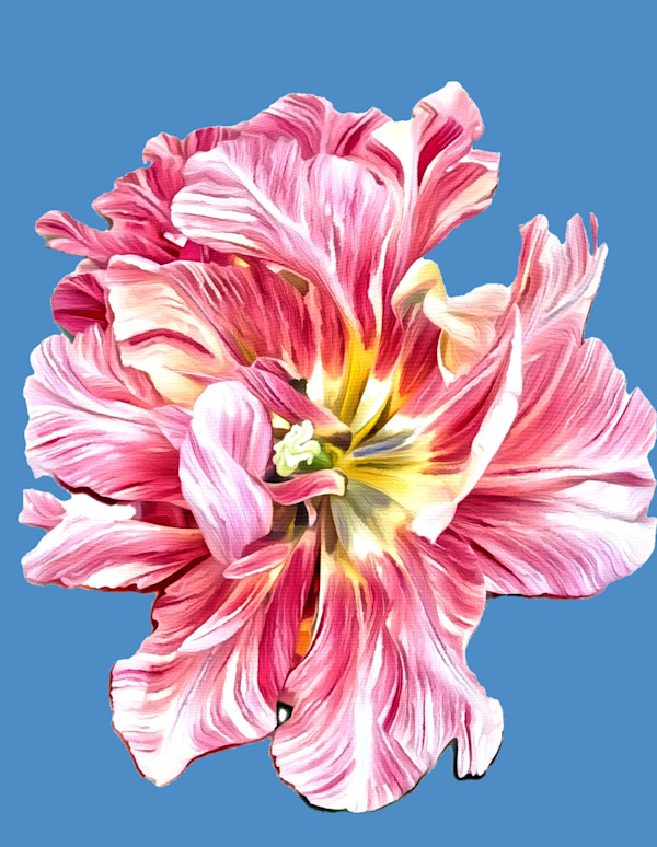 Blue Serenity Tulip by Mica Hoberg