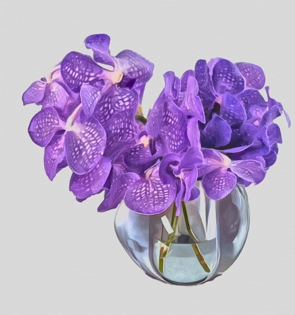 OrchidElegance by Mica Hoberg