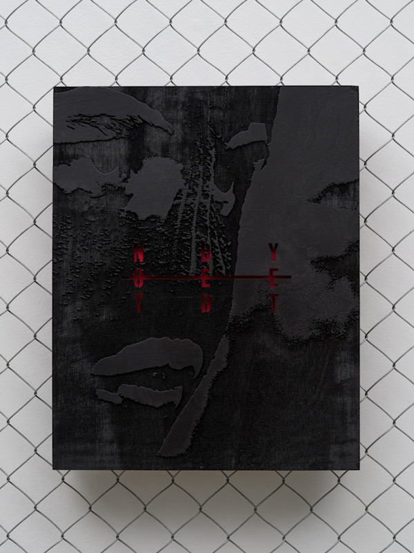 HOOLIGAN  / NOT DED YET by nadya, Image 1.