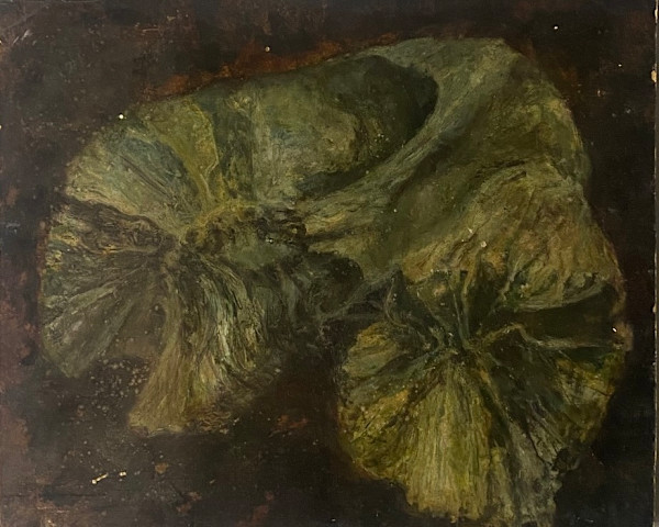 Untitled by saskia pintelon