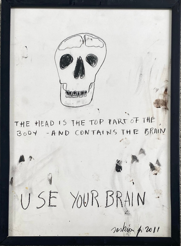 USE YOUR BRAIN by saskia pintelon