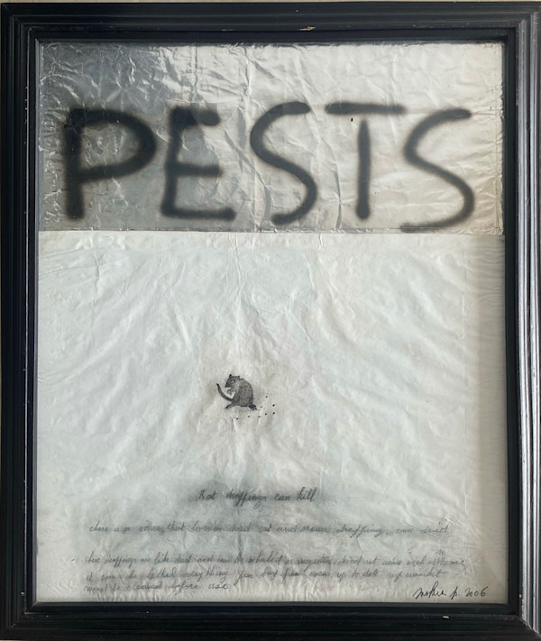 PESTS by saskia pintelon