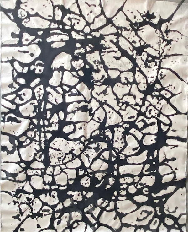 BLACK AND WHITE DREAM II by saskia pintelon