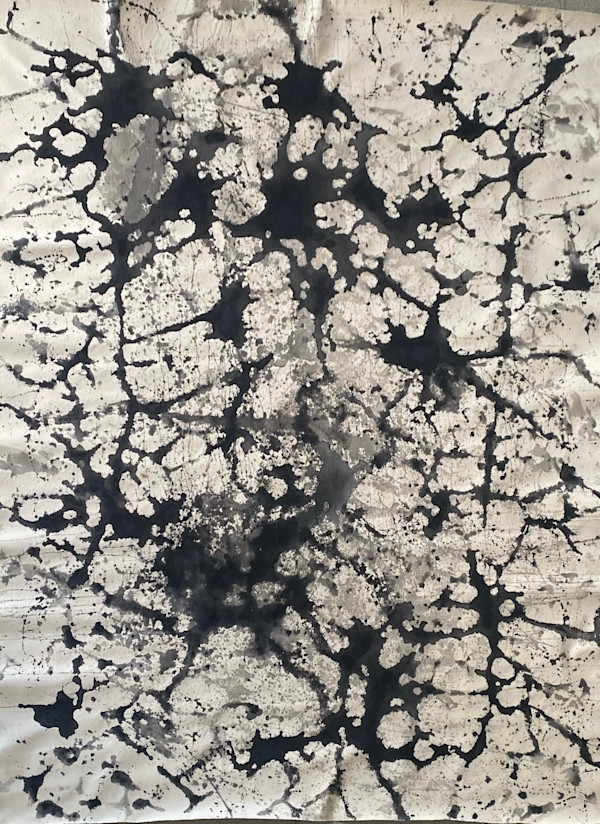 BLACK AND WHITE DREAM IV by saskia pintelon