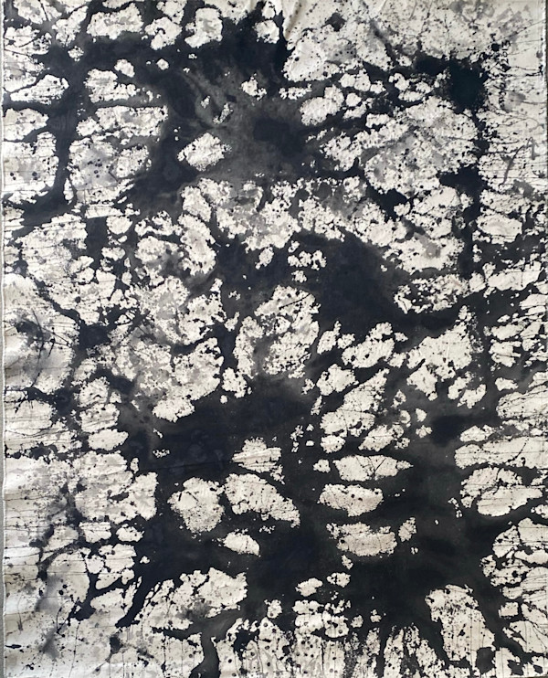 WHITE AND BLACK DREAM V by saskia pintelon