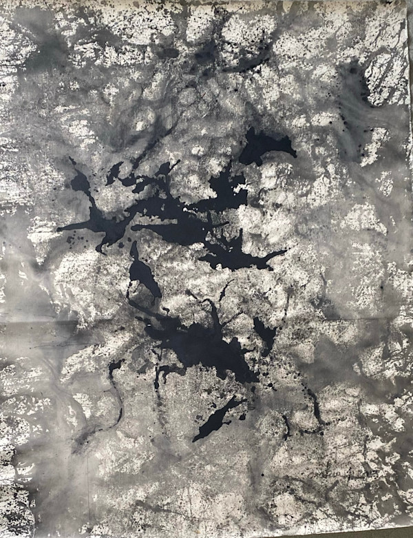 BLACK AND WHITE DREAM VI by saskia pintelon