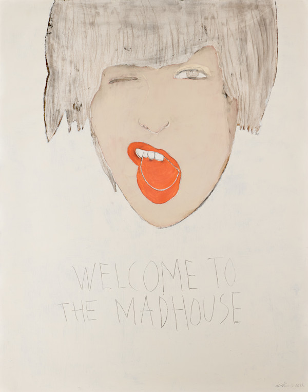 WELCOME TO THE MADHOUSE by saskia pintelon