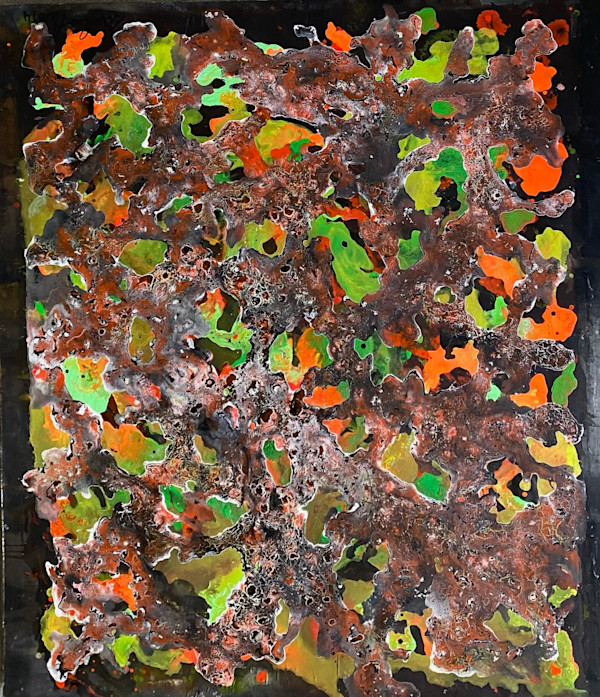 COLOUR CRAZE by saskia pintelon