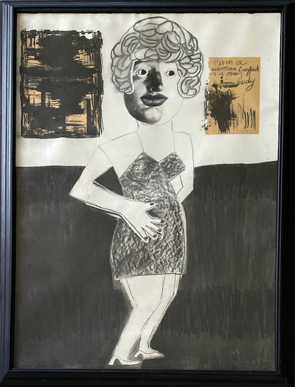 I AM A WOMAN IN A MAN'S BODY by saskia pintelon