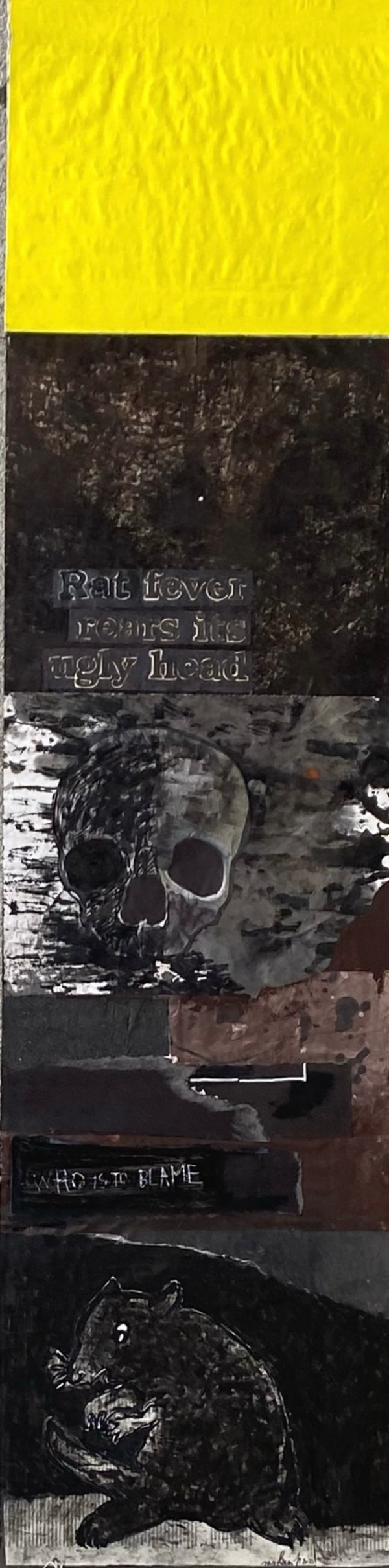 WHO IS TO BLAME by saskia pintelon