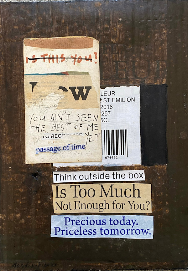 YOU AIN'T SEEN THE BEST OF ME YET by saskia pintelon