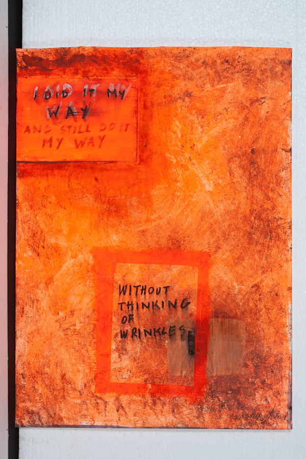 I DID IT MY WAY by saskia pintelon