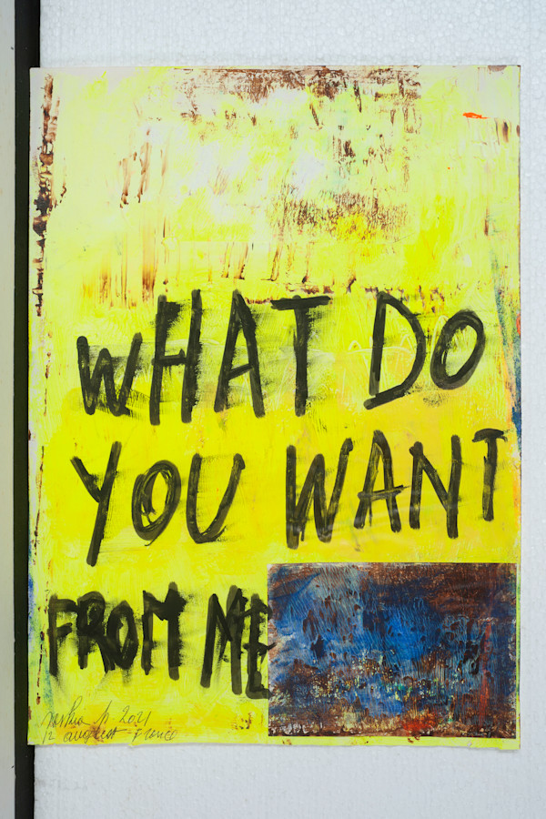 WHAT DO YOU WANT FROM ME by saskia pintelon