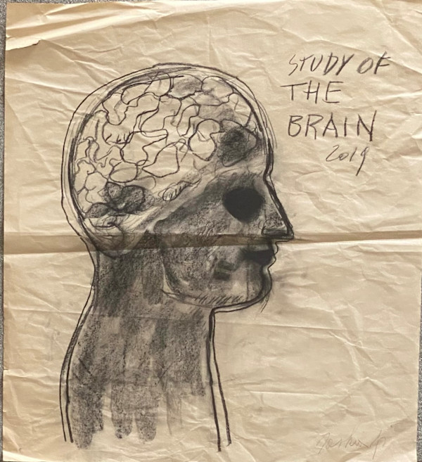 STUDY OF THE BRAIN by saskia pintelon