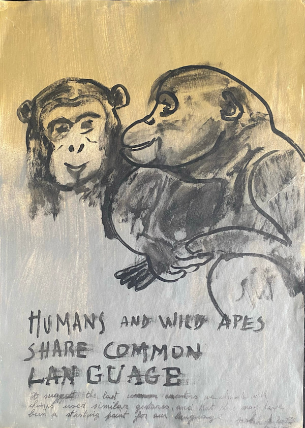 HUMANS AND WILD APES by saskia pintelon, Image 3.