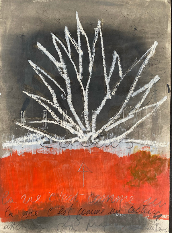 CACTUS by saskia pintelon