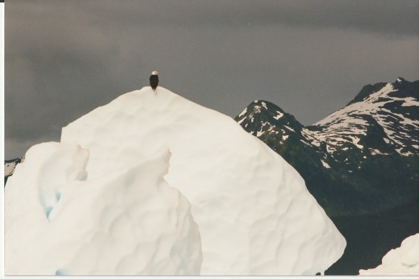 extinct glaciers by charles elwert