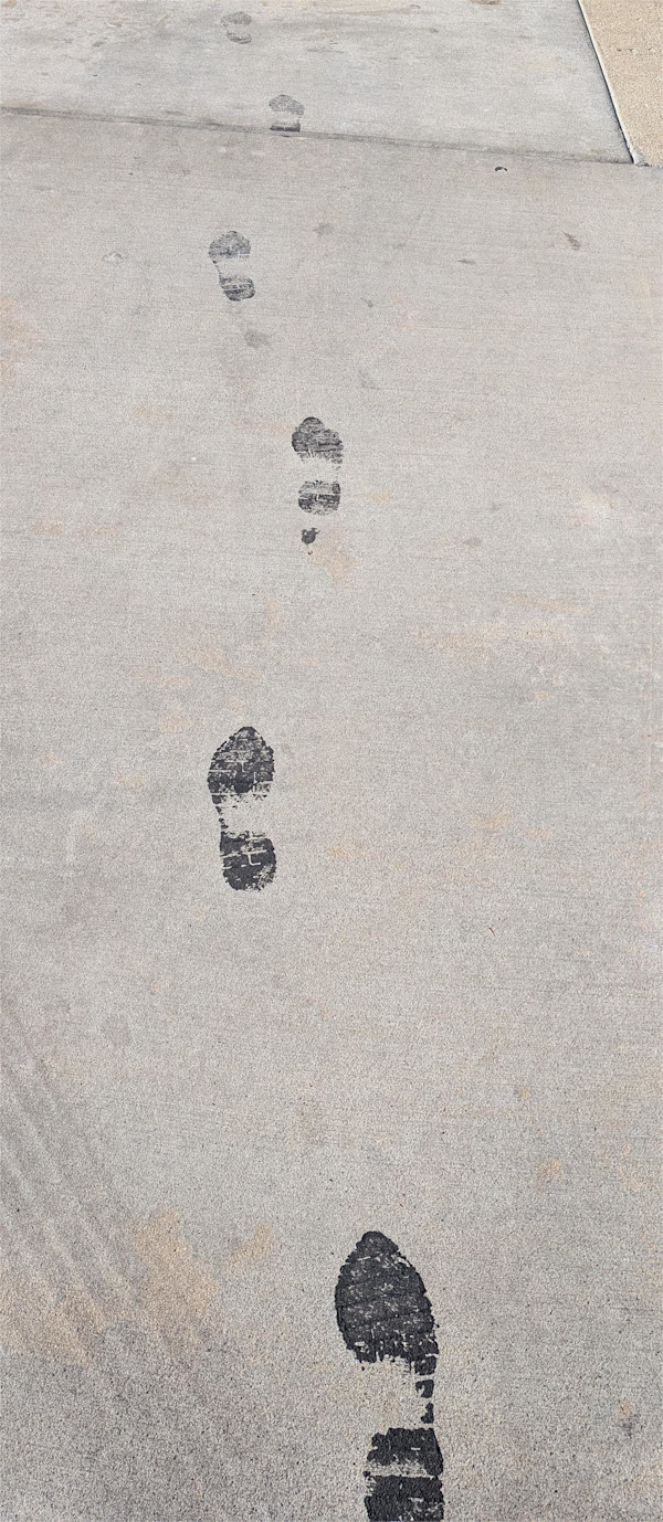 RETURN OF THE INVISIBLE MAN by charles elwert