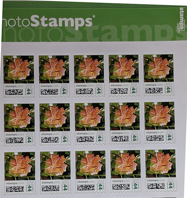 STAMPS #4 by charles elwert