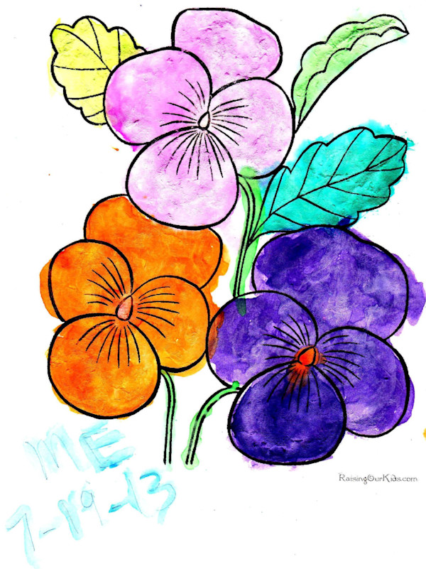 PANSY by charles elwert