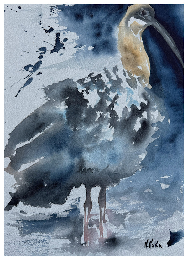 Bandurria by Moni Moka, Image 1.