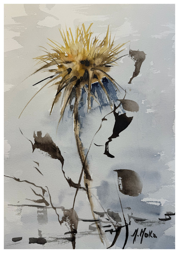 Cardo by Moni Moka, Image 1.