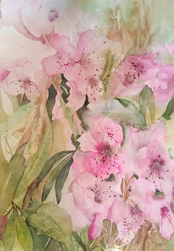 Rododendros by Moni Moka