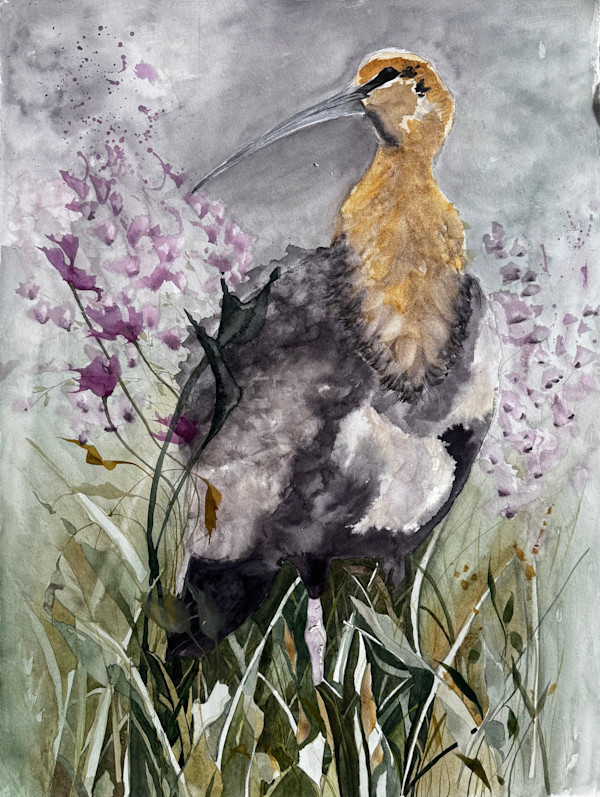 Bandurria by Moni Moka