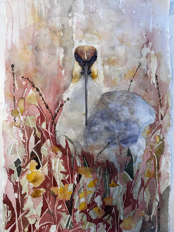 Mirada Bandurria by Moni Moka