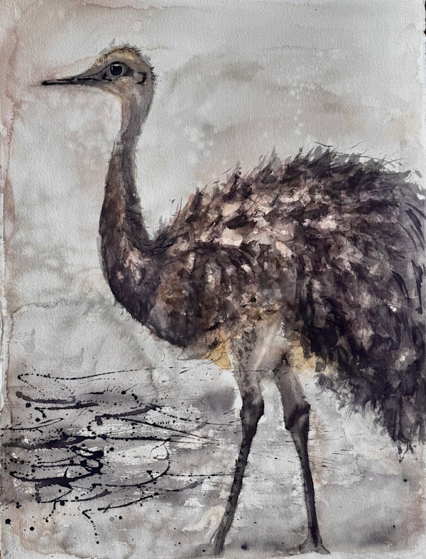 Choique by Moni Moka