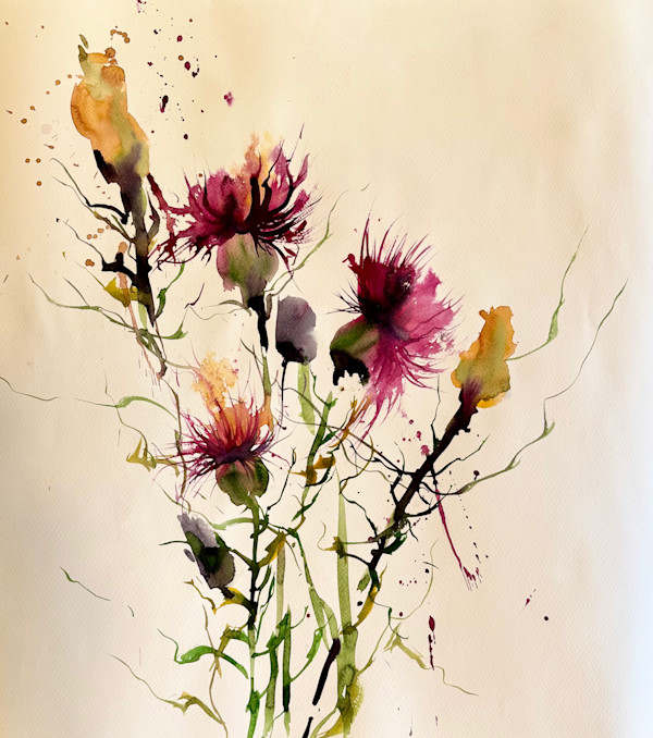 Cardos by Moni Moka, Image 1.